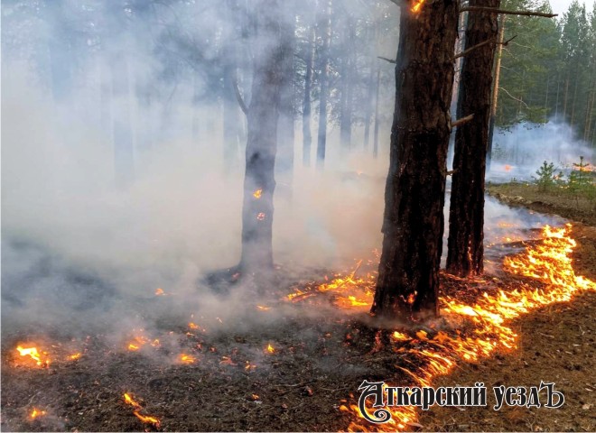 За разведение открытого огня в лесах аткарчан ждут крупные штрафы