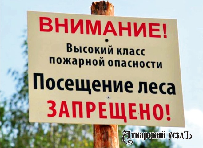 Для жителей Аткарского района продлили запрет на посещение лесов