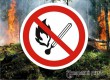 В Саратовской области до осени вводится противопожарный режим