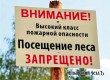 Для жителей Аткарского района продлили запрет на посещение лесов