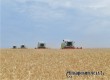 В Аткарском районе аграрии собрали 108,1 тысяч тонн зерна