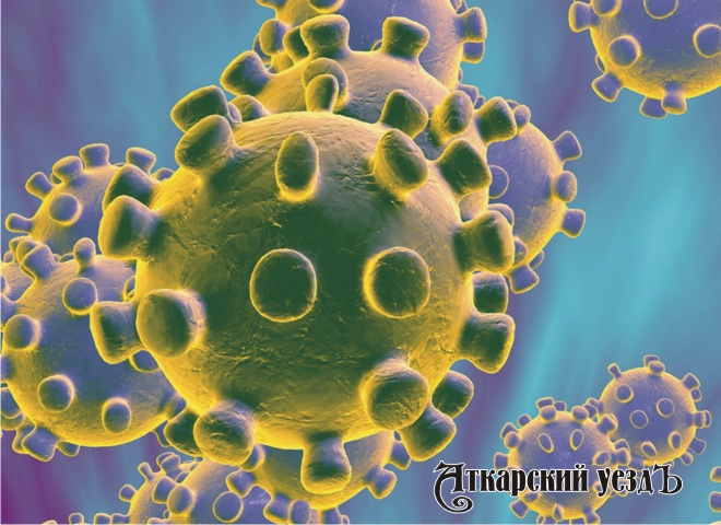 Число заболевших коронавирусом в регионе возросло до 30 человек