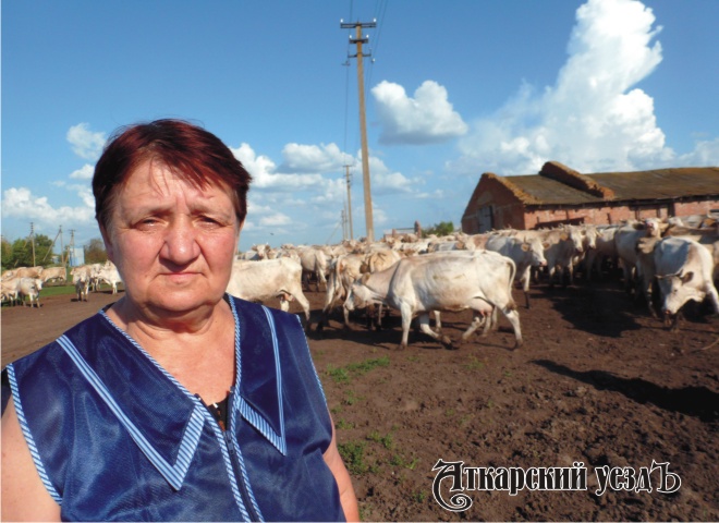 Жительница села и коровы
