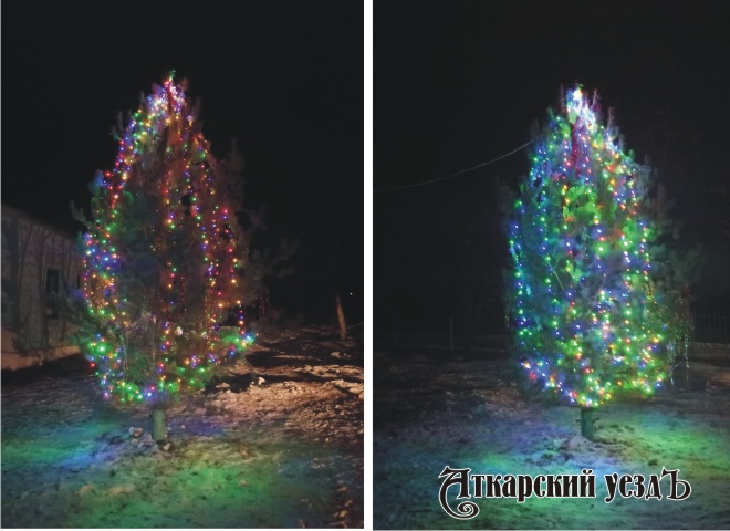 В центре Даниловки установили новогоднюю елку от фермера