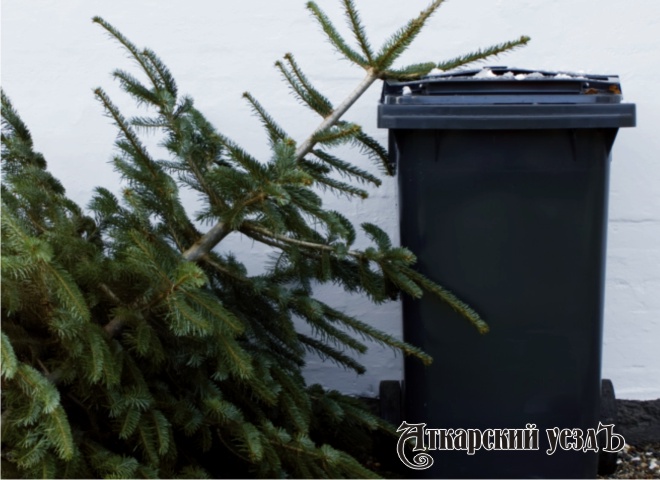 Озвучено число хранящих новогоднюю елку до лета жителей страны