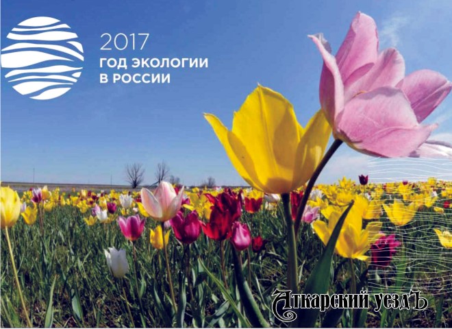 II этнокультурный Фестиваль тюльпанов пройдет 22 и 23 апреля