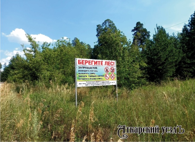 Жителям Аткарского района запретили ходить в лес до конца лета