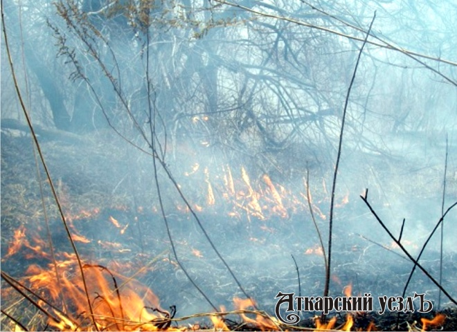 В лесах Саратовской области сохраняется высокая опасность пожаров