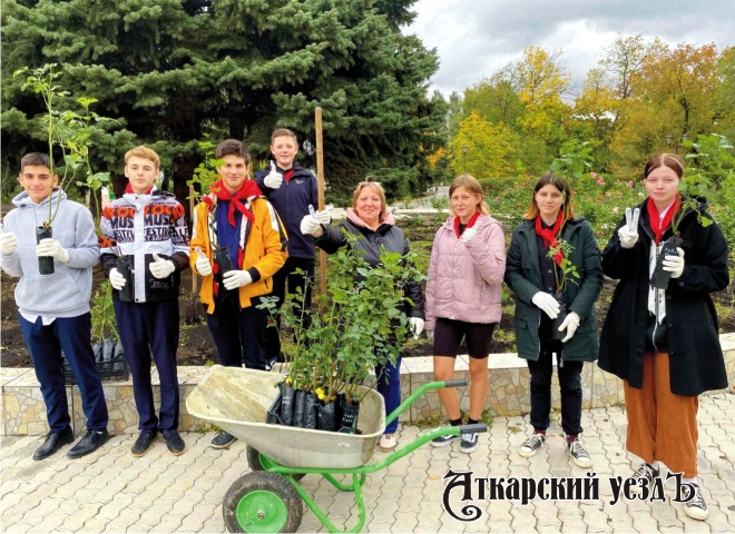 Студенты ПИУ РАНХиГС в Аткарске высадили три сотни саженцев роз