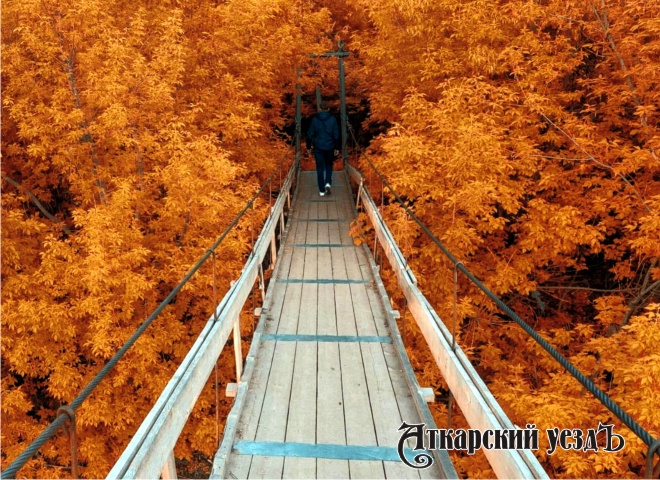 Мост в осень