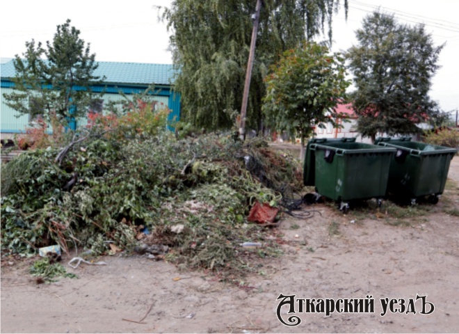 Аткарчане пожаловались на мусор в Общероссийский народный фронт