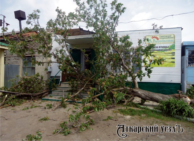 Шквальным ветром в Аткарске повалило деревья