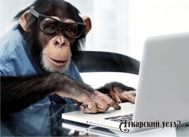 Смешная обезьяна печатает на клавиатуре