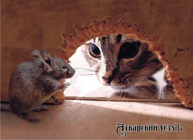 Кот поджидает мышь у норы