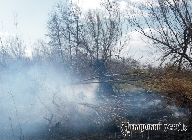 Природный пожар в Аткарском районе