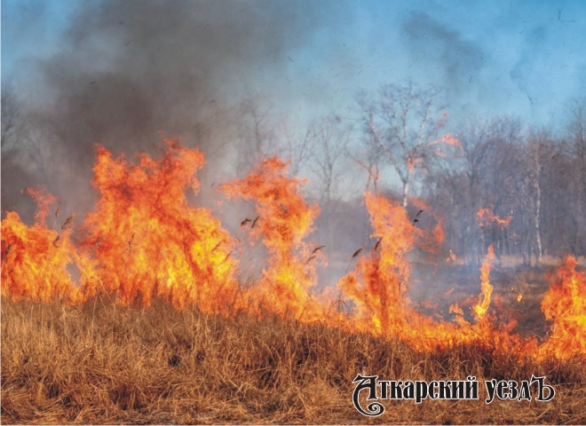 В Саратовской области официально стартовал пожароопасный сезон