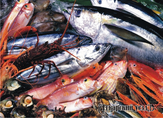 Разная рыба и морепродукты
