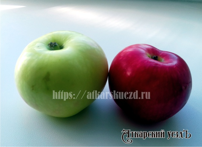 Зеленое и красное яблоки
