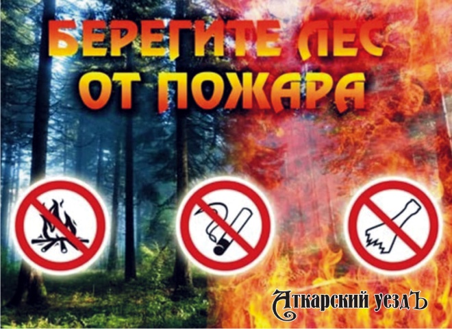 В Аткарском районе продлен запрет на посещение лесов