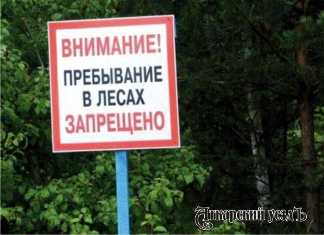 В Аткарском районе на 21 день продлен запрет на посещение лесов