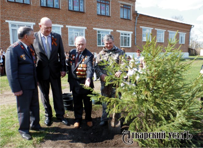 На школьном дворе в честь 70-летия Победы заложили аллею