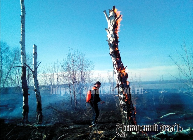 Ландшафтный пожар в районе села Новая Осиновка