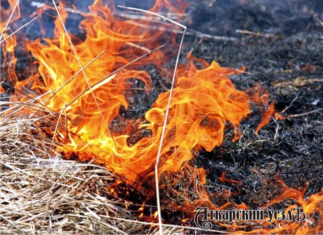 Природный пожар на окраинах села Алексеевка локализован