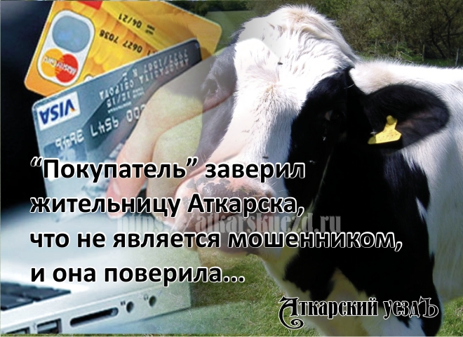Аткарчанка лишилась 19000 рублей при продаже коровы через Интернет