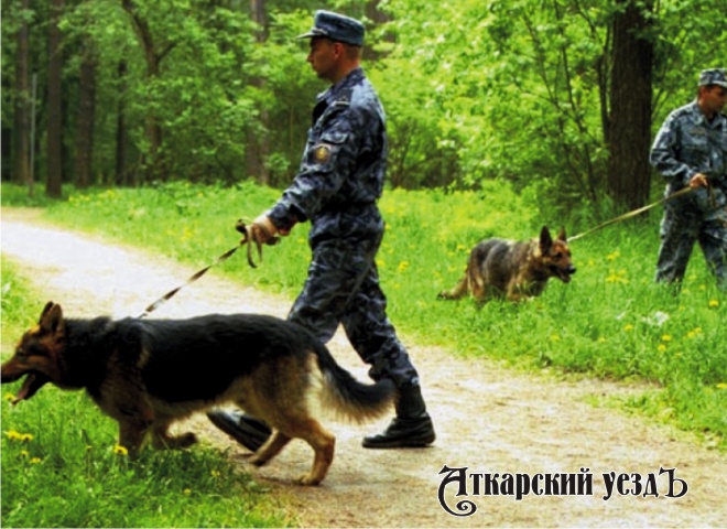 Полицейские с собаками ведут поиск