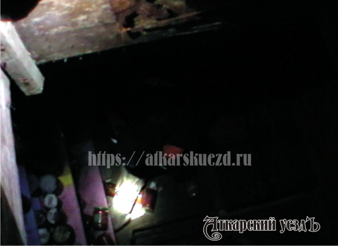 В городе Аткарске бродячая собака упала в погреб к местным жителям
