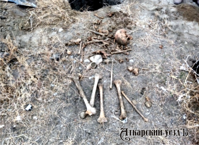 Житель Языковки откопал во дворе своего дома череп и кости
