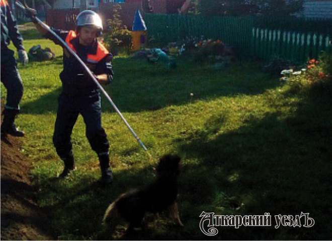 Аткарские спасатели вытащили собаку из глубокой ямы
