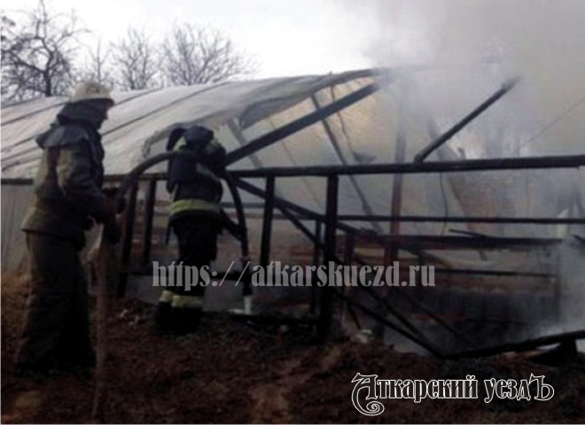На окраине Аткарска сгорела теплица площадью 200 квадратных метров