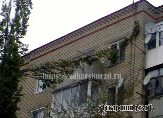 На пятиэтажку в Аткарске упал тополь