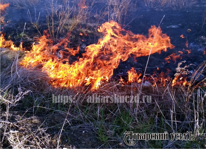 В Аткарске за сутки сгорели два автомобиля, 5 га травы и газовый счетчик