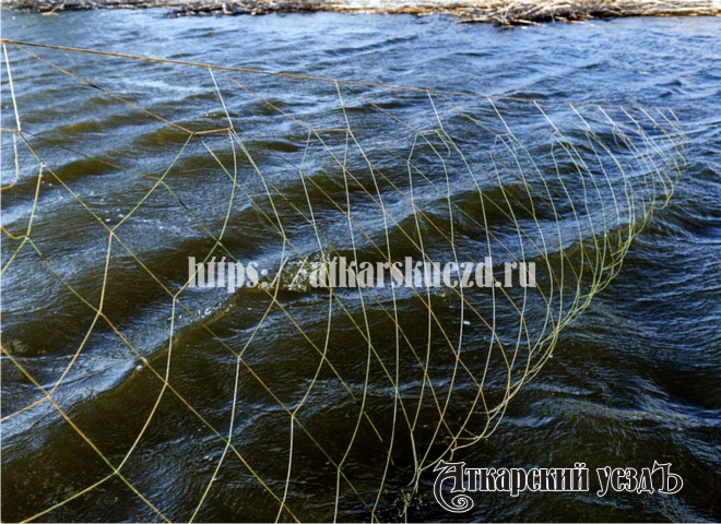 Выловивший 80 пескарей в Песчанке рыбак пойдет под суд за браконьерство