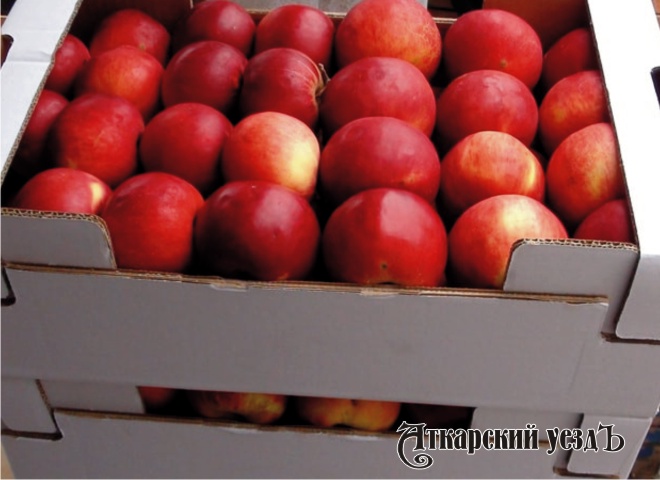 В Аткарске изъяли подкарантинные яблоки