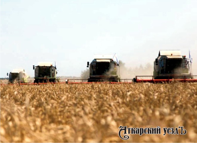 Аткарский район намолотил более 100 тысяч тонн зерна и присоединился к лидерам