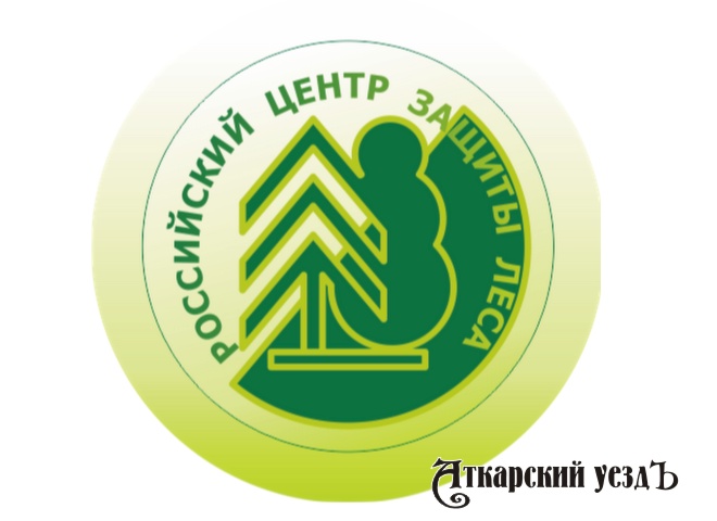 Символика Российского центра защиты леса