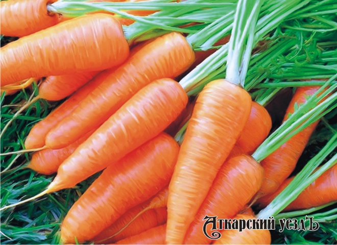 Медики рекомендуют женщинам есть больше моркови