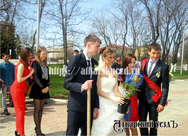 Аткарская семья посадила розу в парке в день бракосочетания