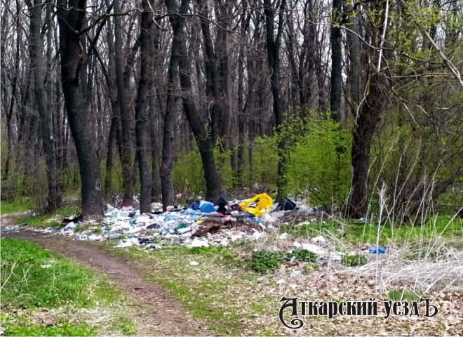Свалка мусора у входа в лес