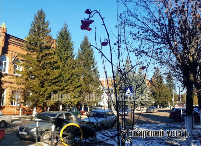 Синоптики: В Саратовской области к выходным немного потеплеет