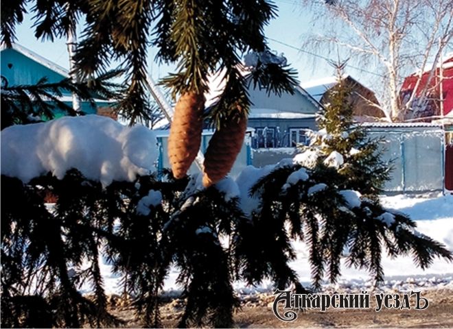 На Рождество в Саратовской области «потеплеет» до -6°С