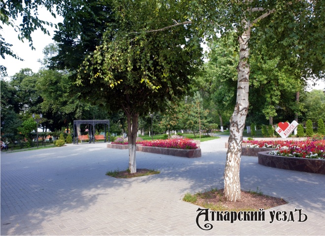 Берёза в парке Аткарска