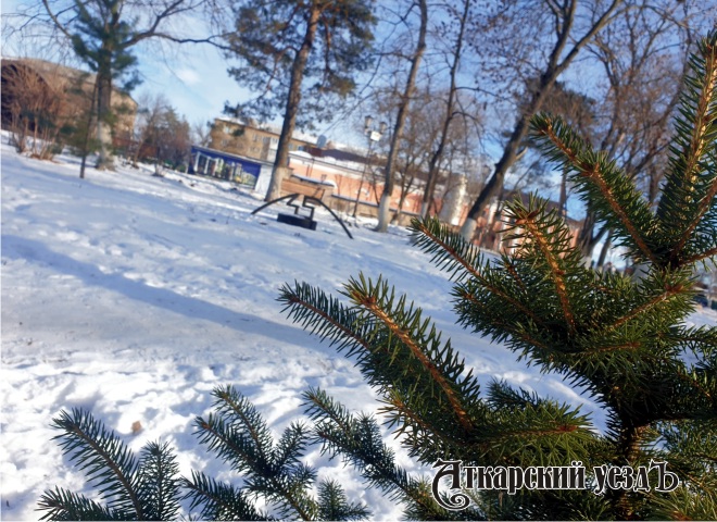 Жителей Аткарского района ожидает морозная погода без осадков
