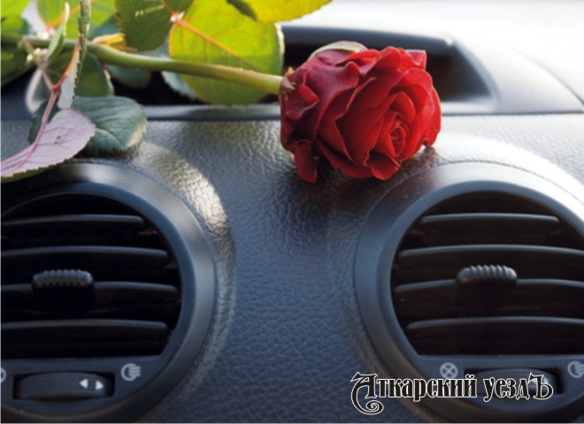 Ученые: запах роз в салоне автомашины защищает от попадания в ДТП