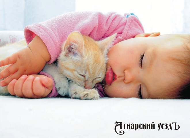 Спящие ребенок и кот