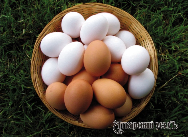 Специалисты объяснили, сколько яиц можно употреблять в день