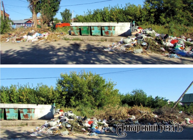 Огромная свалка мусора на улице Мичуринской в Аткарске